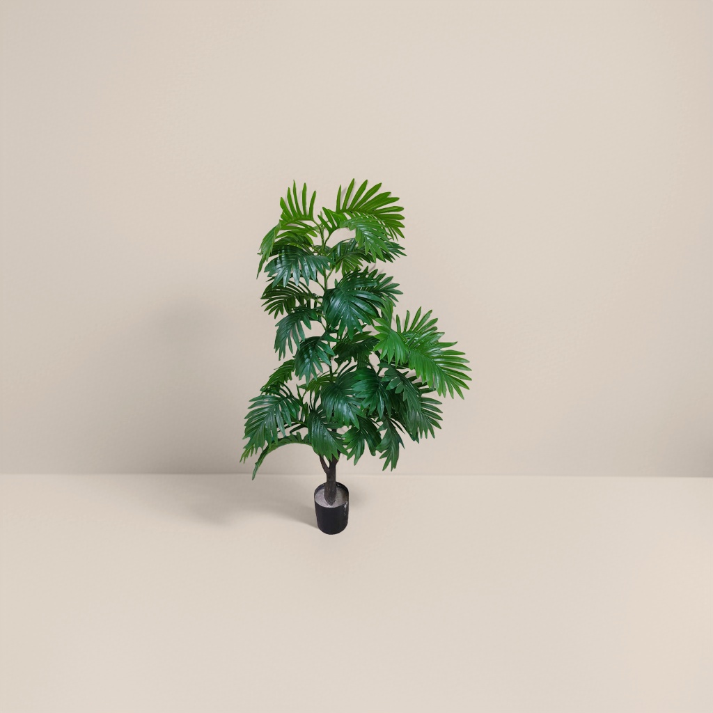 绿色植物盆栽 室内净化空气观叶绿植小盆栽可摆办公桌
