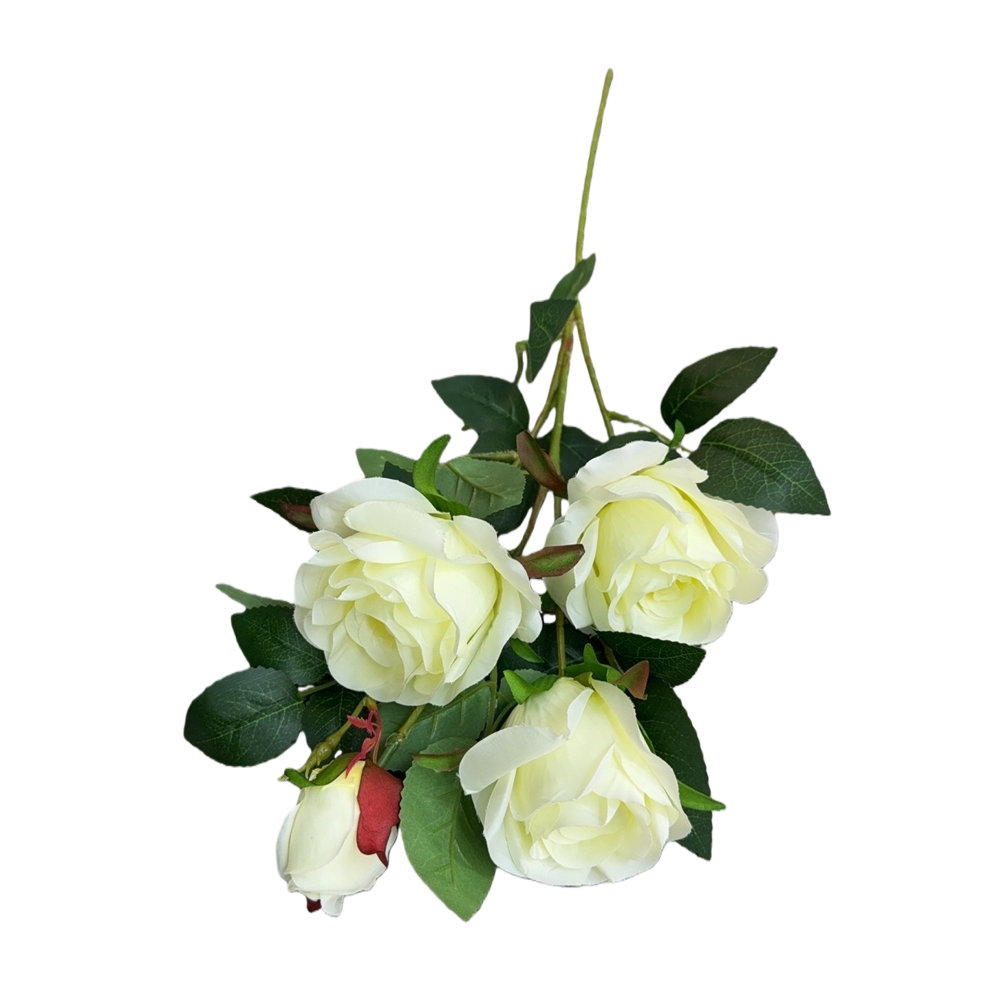 白色玫瑰花束 鲜花配送生日求婚结婚庆典用白底实物图
