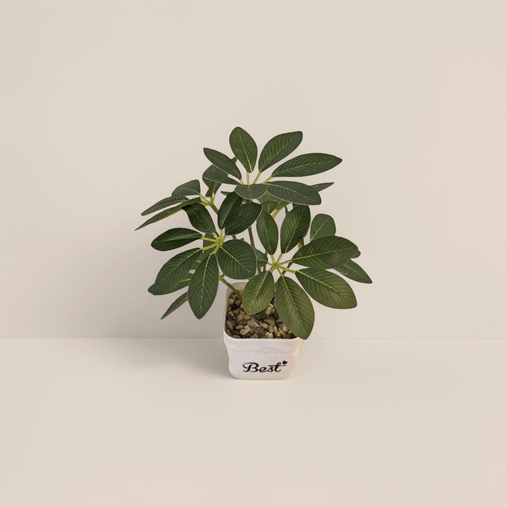 Green plant potted plants for indoor air purification, small potted plants and succulent combinations Specification image
