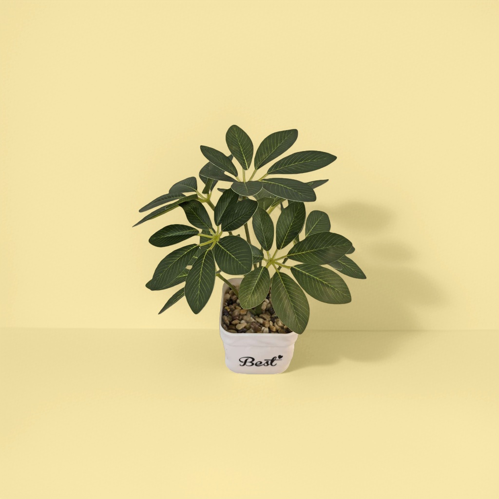 Green plant potted plants for indoor air purification, small potted plants and succulent combinations details Picture