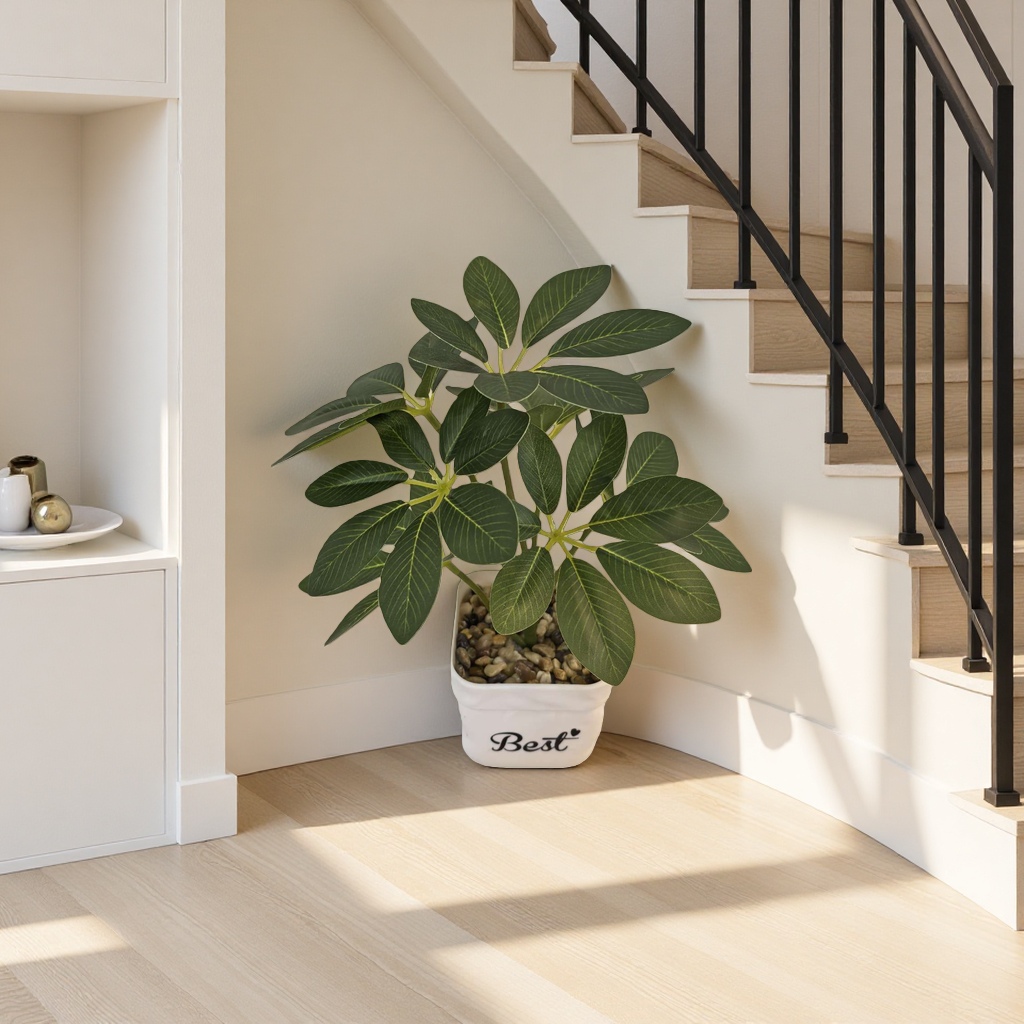 Green plant potted plants for indoor air purification, small potted plants and succulent combinations Application Scenario