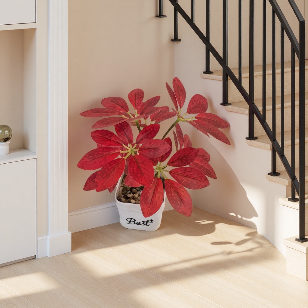 Red-leaf potted plants, indoor foliage green plants, Nordic-style living room and balcony decoration Application Scenario