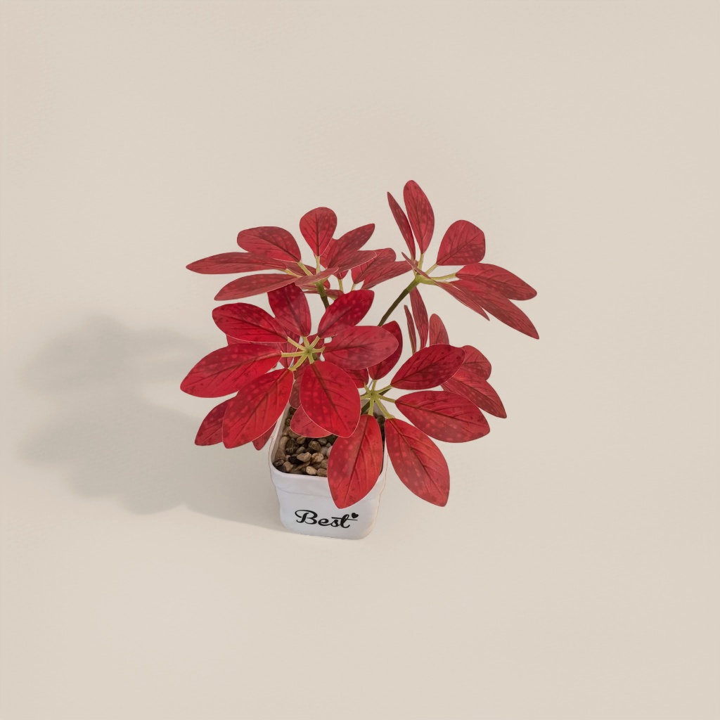 Red-leaf potted plants, indoor foliage green plants, Nordic-style living room and balcony decoration Specification image