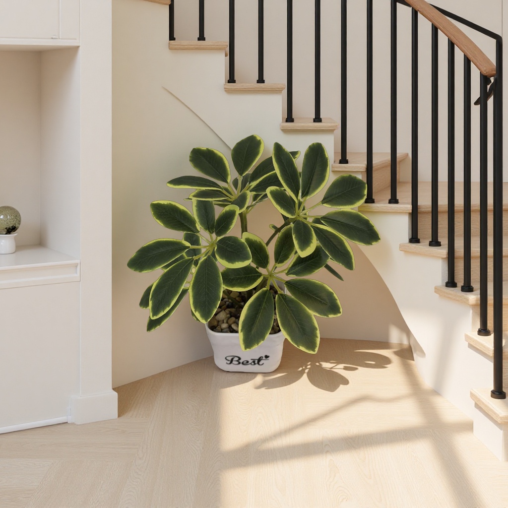Green plant potted plants for indoor air purification, small potted plants and succulent plant combinations Application Scenario