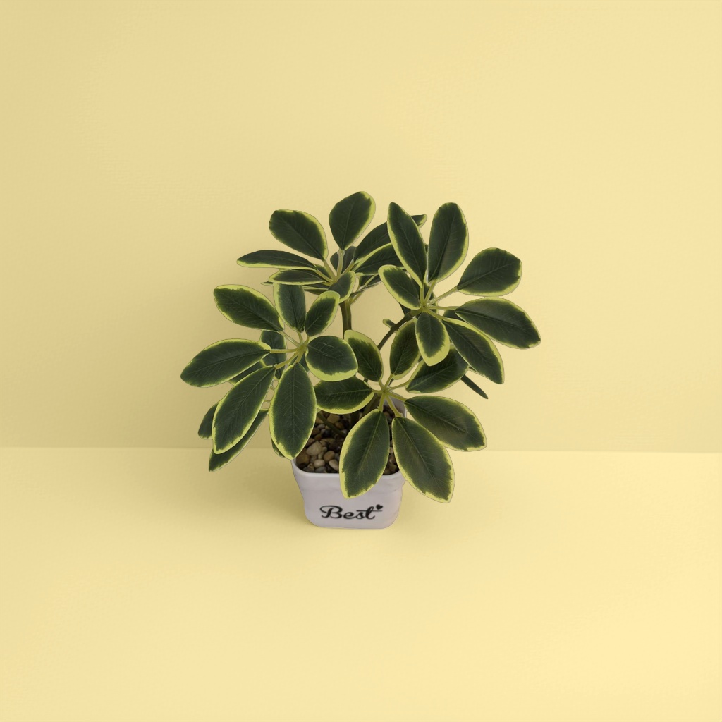 Green plant potted plants for indoor air purification, small potted plants and succulent plant combinations details Picture