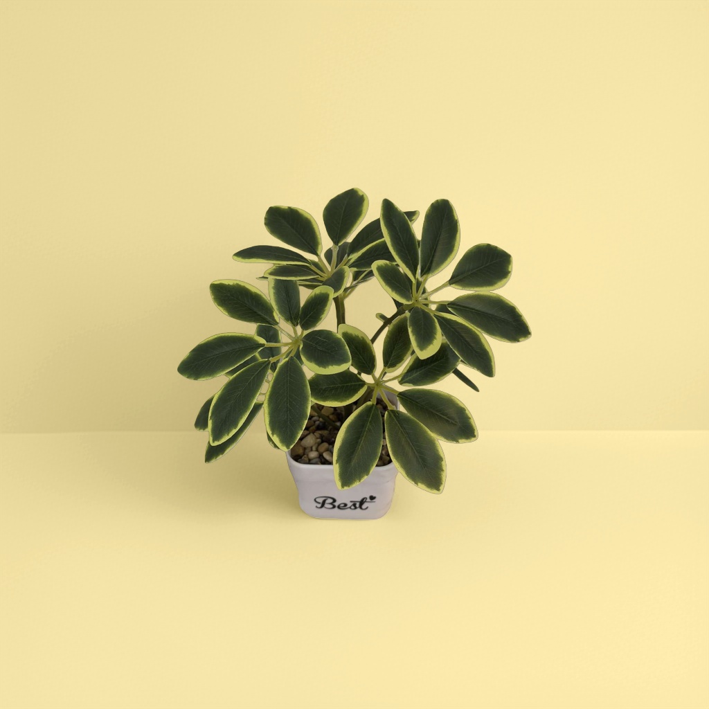 Green plant potted plants for indoor air purification, small potted plants and succulent plant combinations