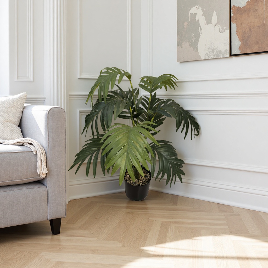 Green plant potted plants can purify the indoor air. Small potted green plants are easy to grow Specification image