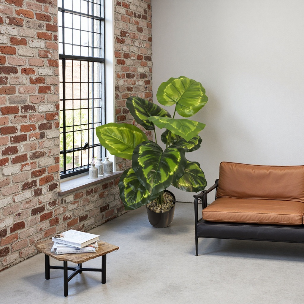 Green-leaf potted plants, indoor foliage green plants, small potted plants, easy to grow and shade-tolerant details Picture
