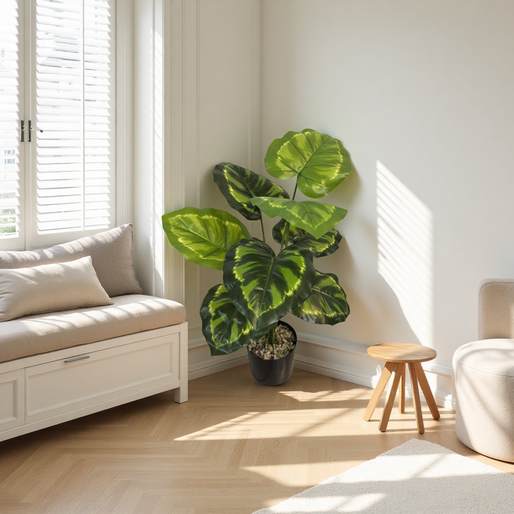 Green-leaf potted plants, indoor foliage green plants, small potted plants, easy to grow and shade-tolerant Specification image