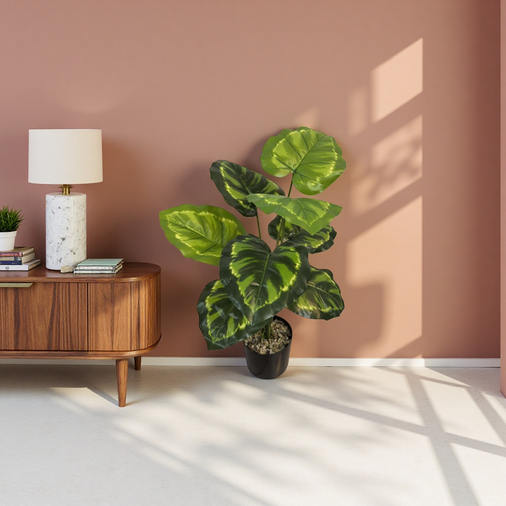 Green-leaf potted plants, indoor foliage green plants, small potted plants, easy to grow and shade-tolerant Application Scenario