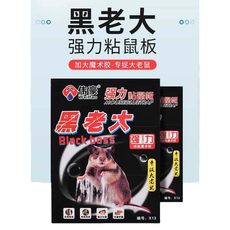 粘鼠板+黑老大强力粘鼠板白底实物图