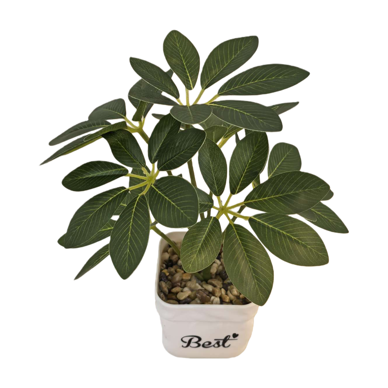 Green plant potted plants for indoor air purification, small potted plants and succulent combinations Item Picture