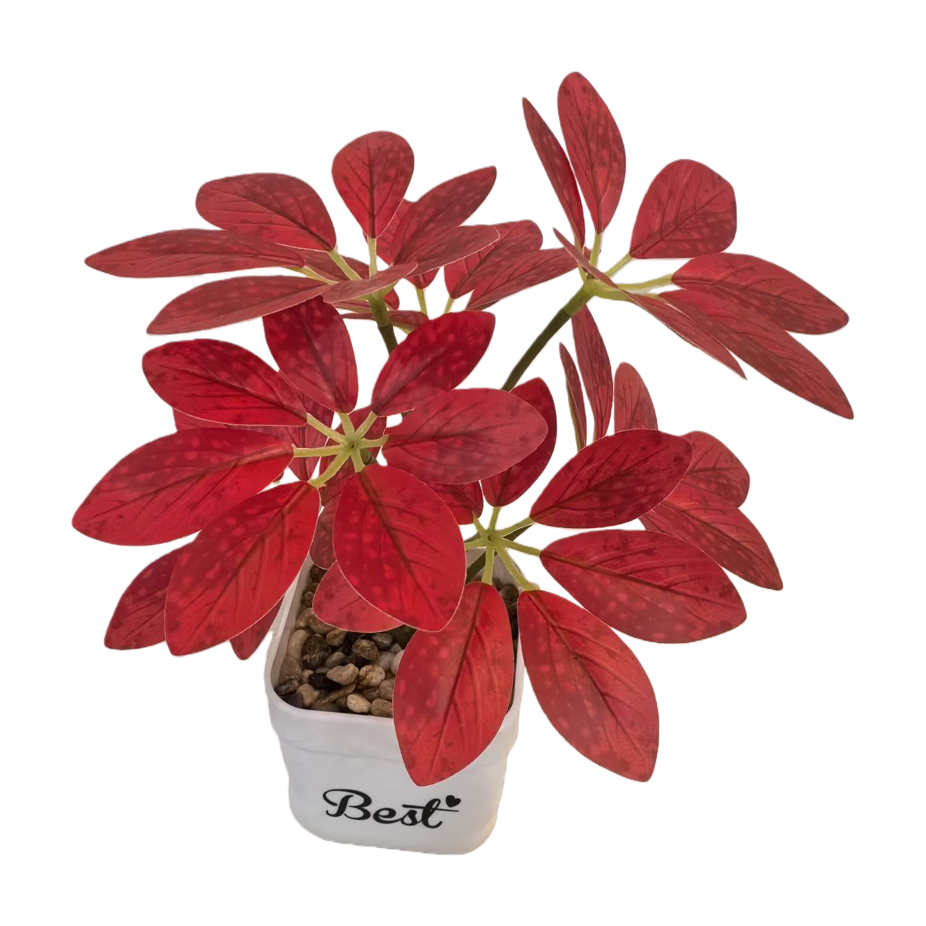 Red-leaf potted plants, indoor foliage green plants, Nordic-style living room and balcony decoration Item Picture