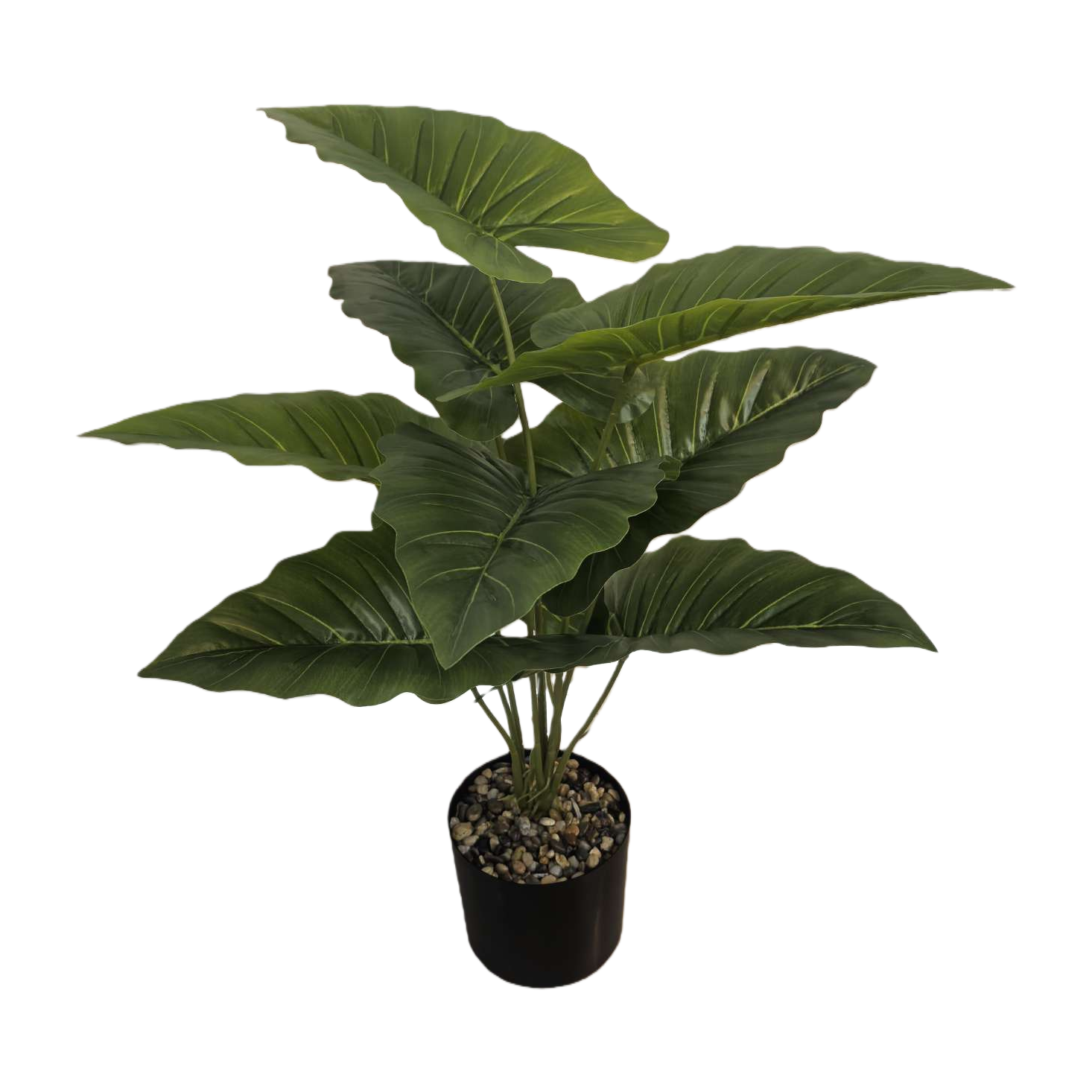 Green plant potted ceramic flowerpot set for living room and balcony decoration green plants Item Picture