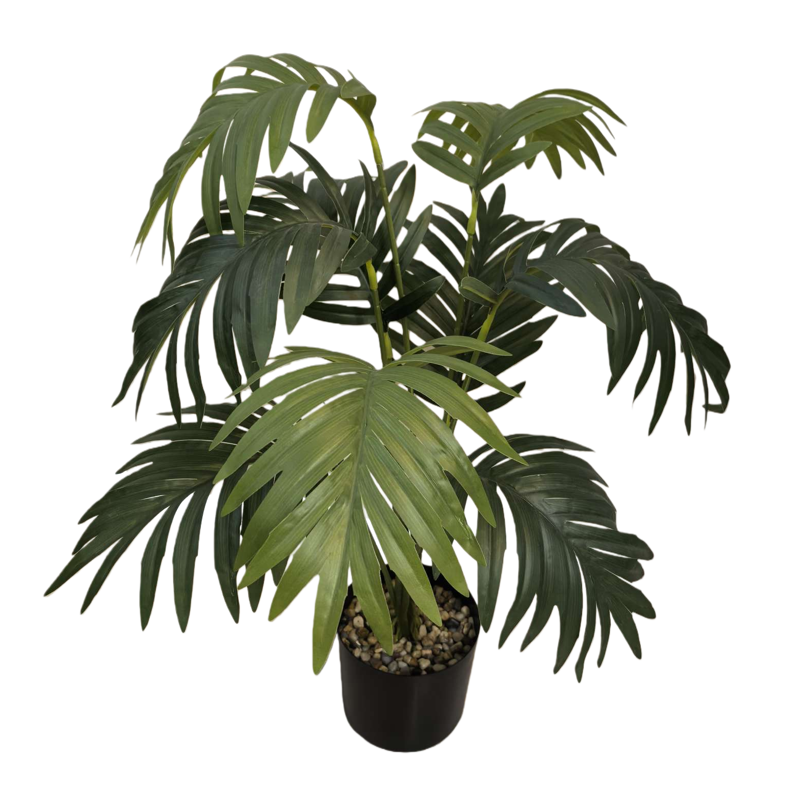 Green plant potted plants can purify the indoor air. Small potted green plants are easy to grow Item Picture