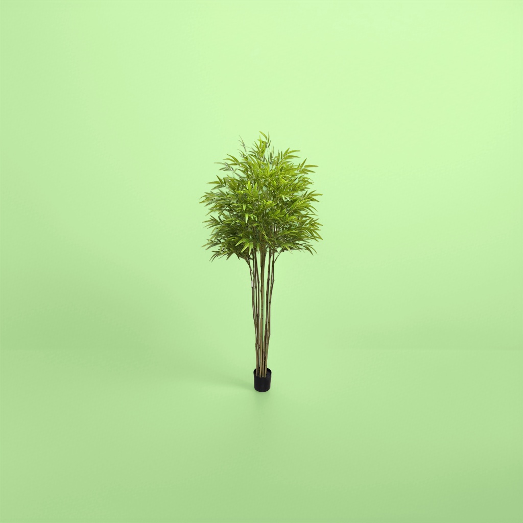 绿色竹子植物盆栽 室内空气净化观叶绿植易养耐阴