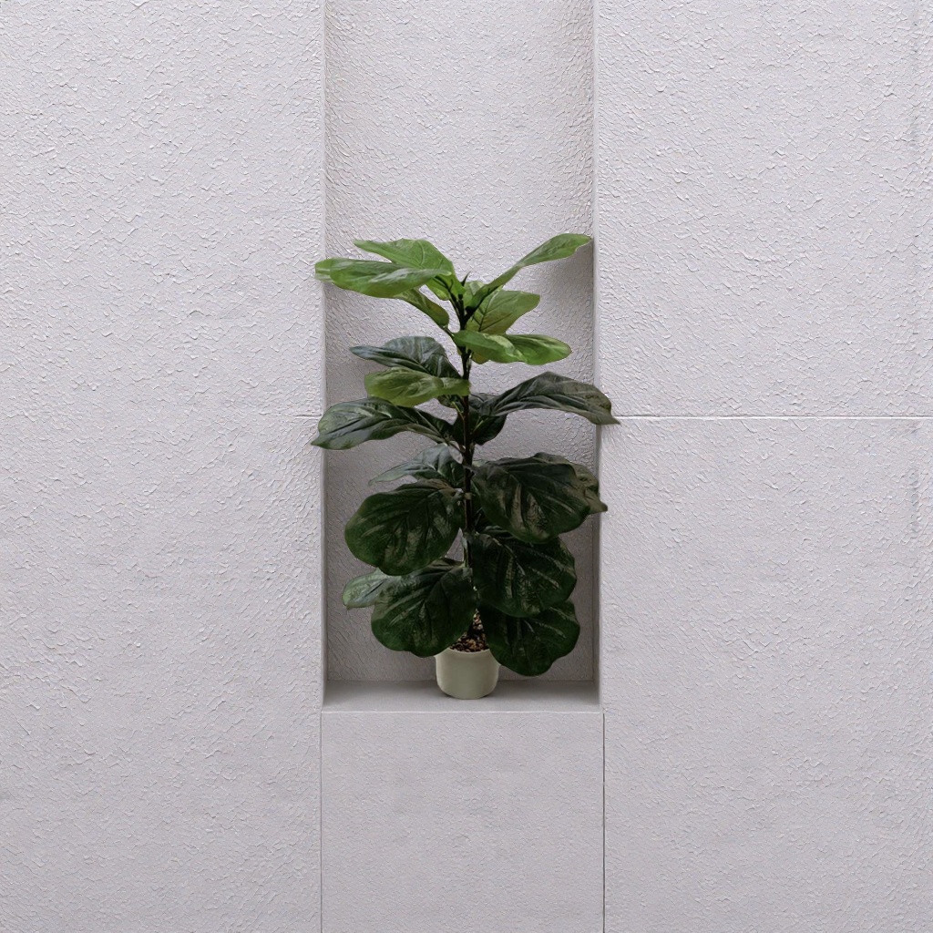 绿色植物盆栽 室内净化空气观叶绿植小盆栽