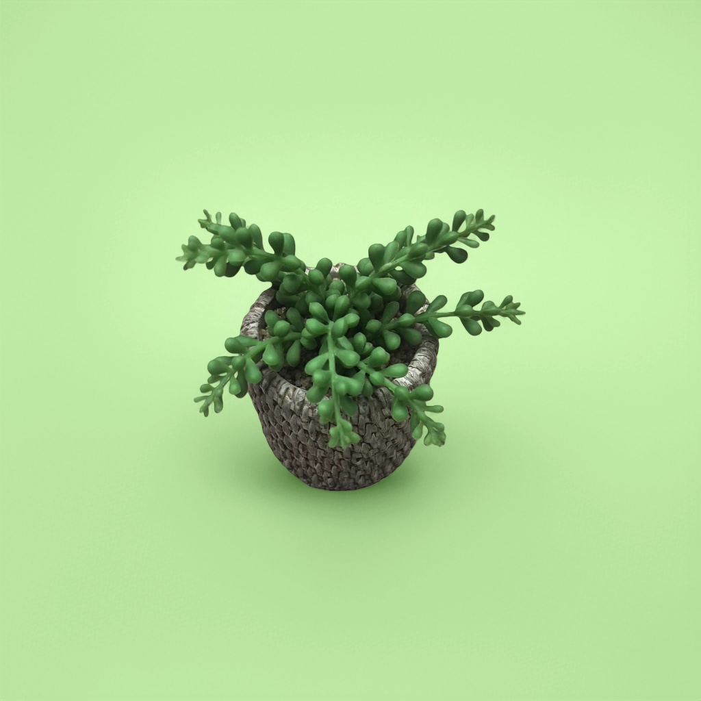 Green succulent potted indoor small ornamental green plants are easy to grow and drought-tolerant