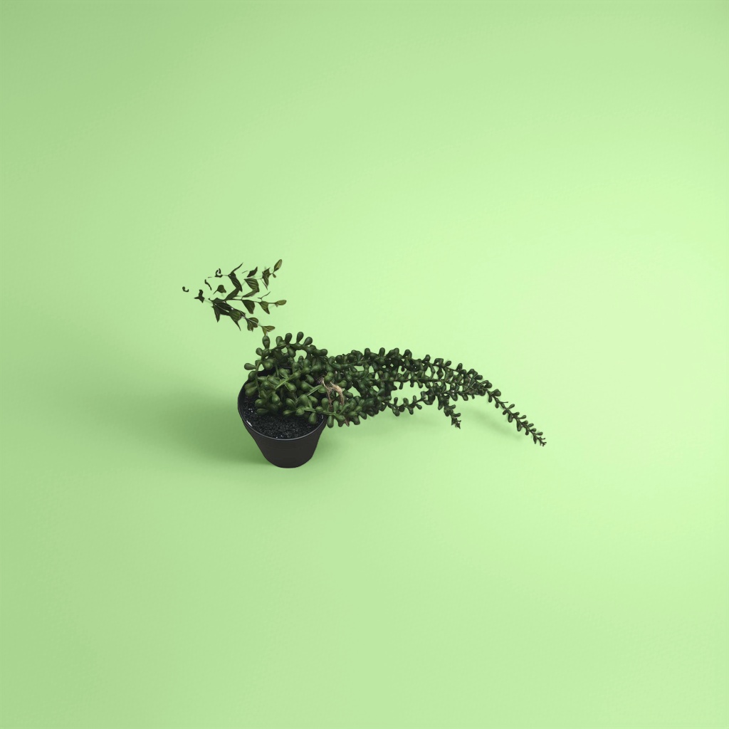 Green succulent potted plants, small drought-resistant ornamental green plants for indoor desktops Specification image