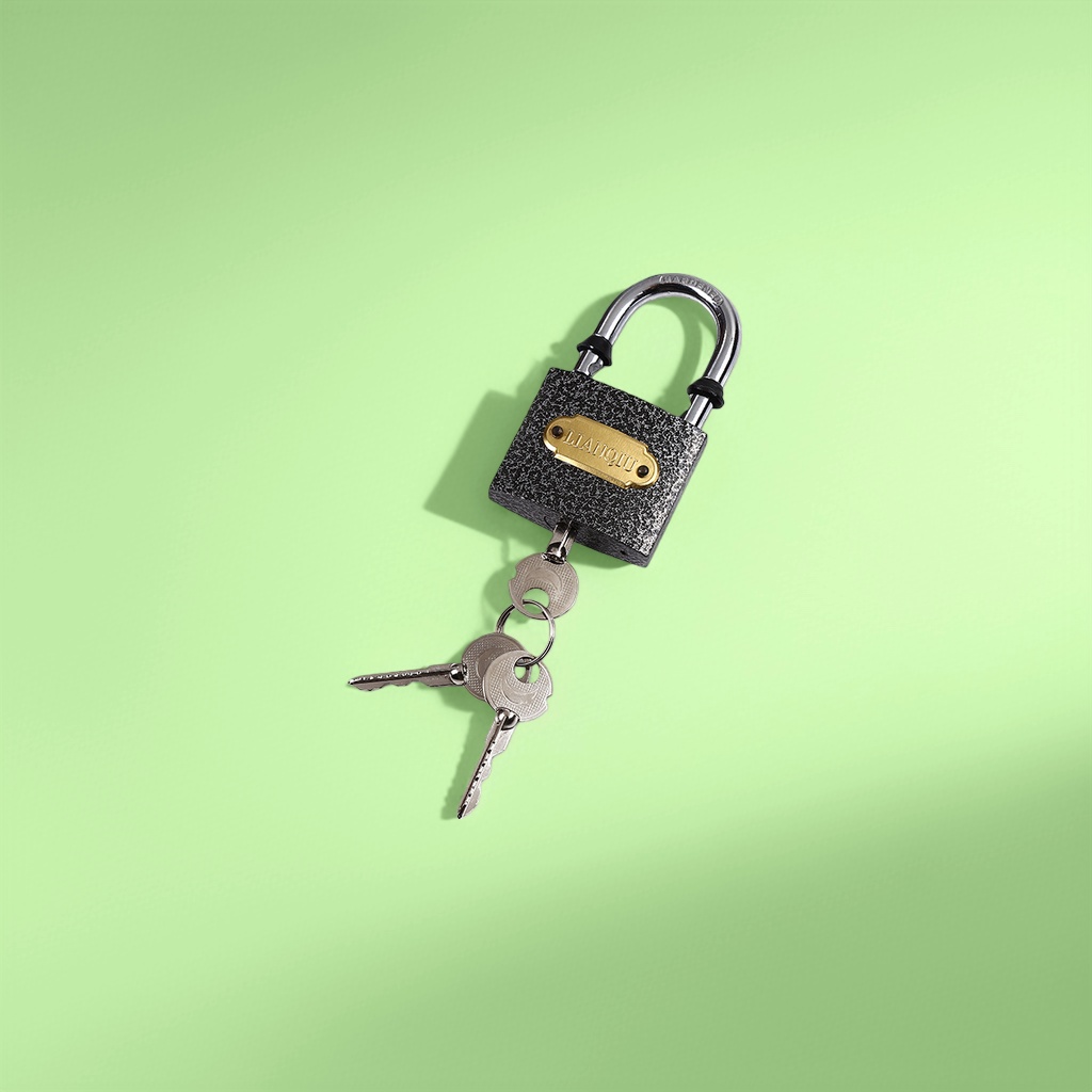 Two metal anti-picking padlocks for household anti-theft door locks and outdoor waterproof locks Application Scenario