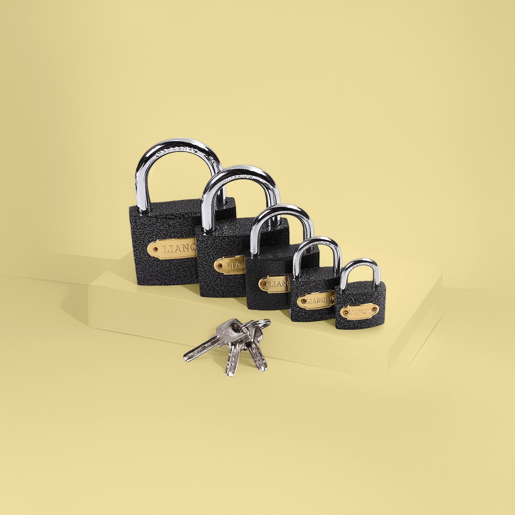 Two metal anti-picking padlocks for household anti-theft door locks and outdoor waterproof locks details Picture
