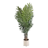 وتزخر النباتات المزروعة بوعاء النباتات باتات الأوراق الصغيرة Item Picture