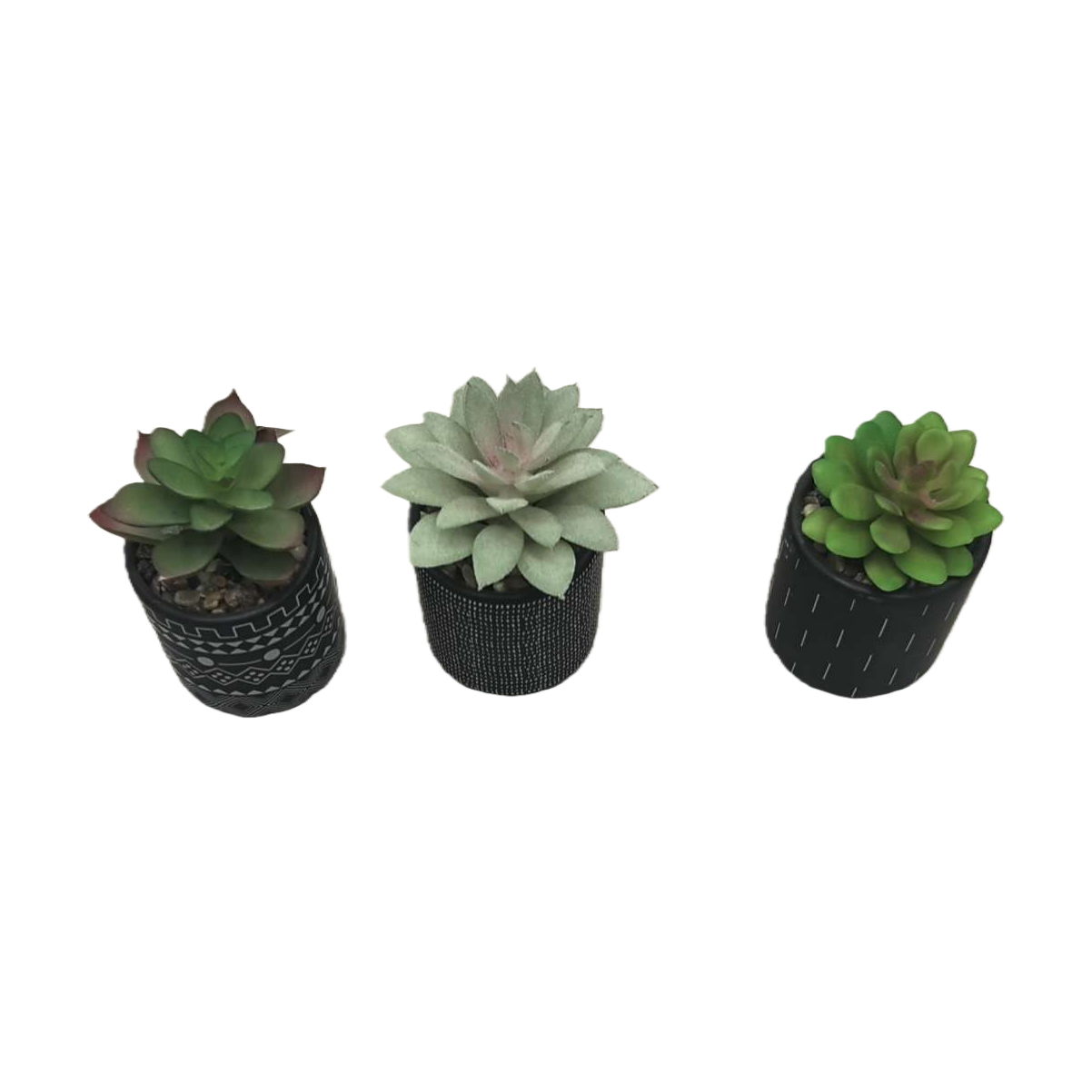 Succulent plant potted combination, indoor green plants, small bonsai, balcony decoration, drought-resistant and easy to care for Item Picture
