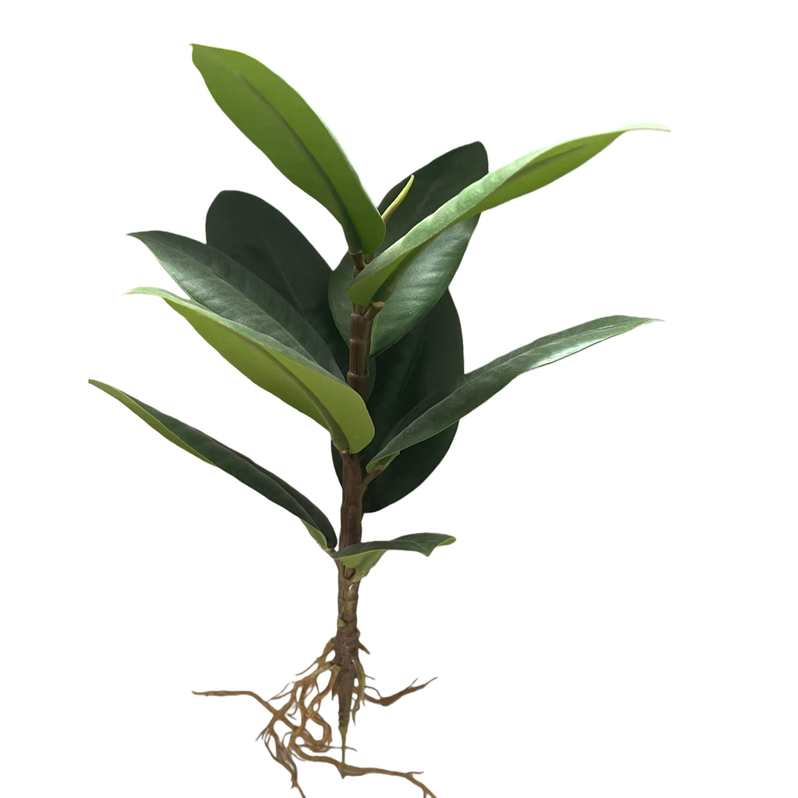 Green plant simulation potted plants for home decoration, living room and bedroom green plant ornaments Item Picture
