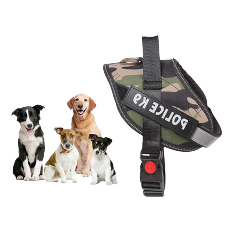 Pet vest reflective leash for dogs and cats, suitable for safe night travel and adjustable Item Picture