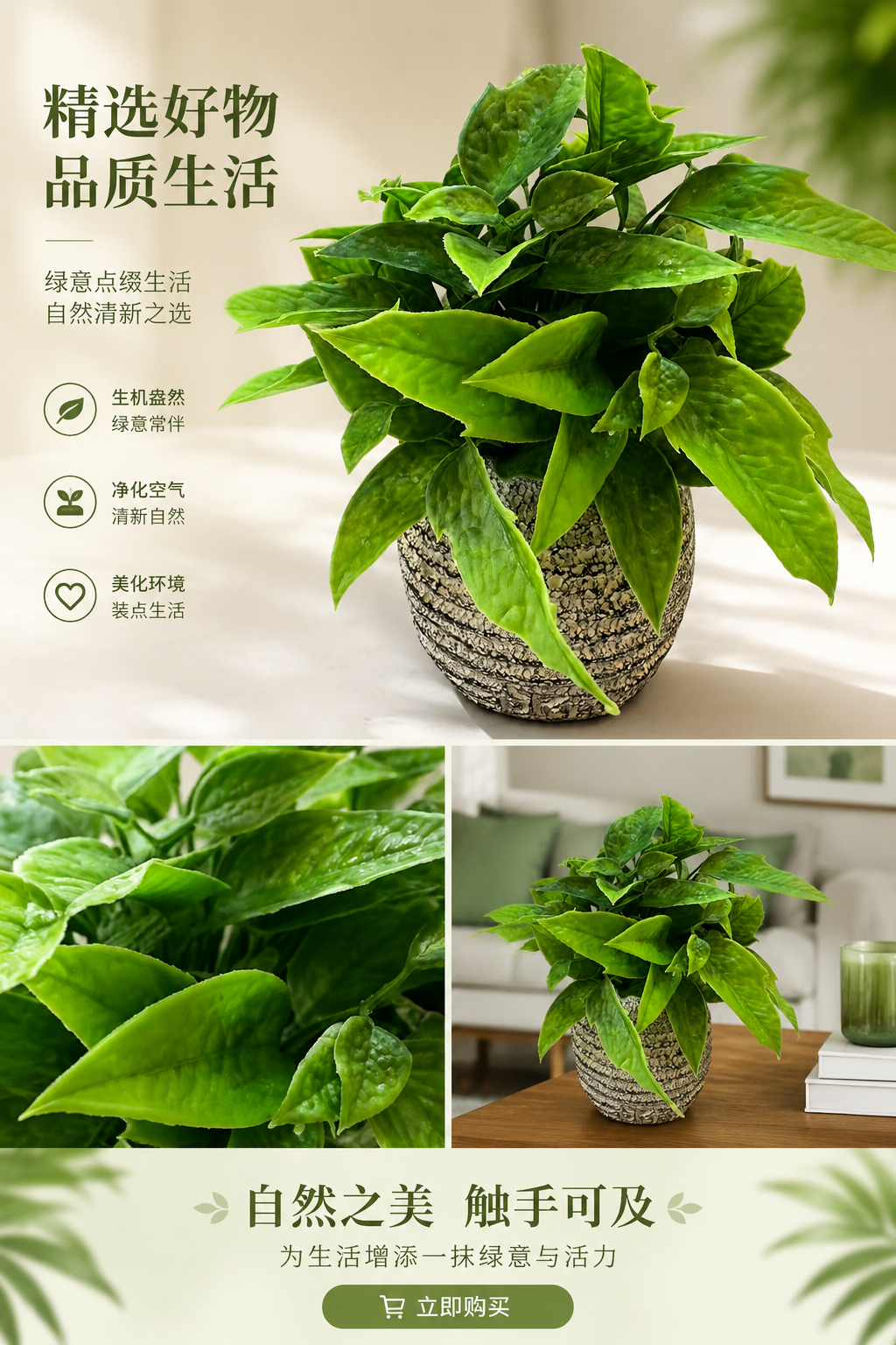绿色植物仿真盆栽 室内净化空气绿植小盆栽易养活详情1