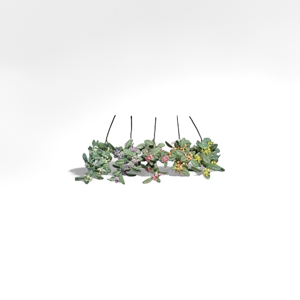 鲜切花实物图