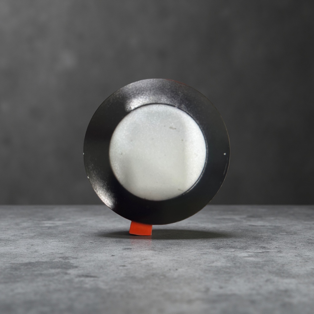 The circular black-framed ceiling lamp is a simple and modern decorative lamp for the living room and bedroom