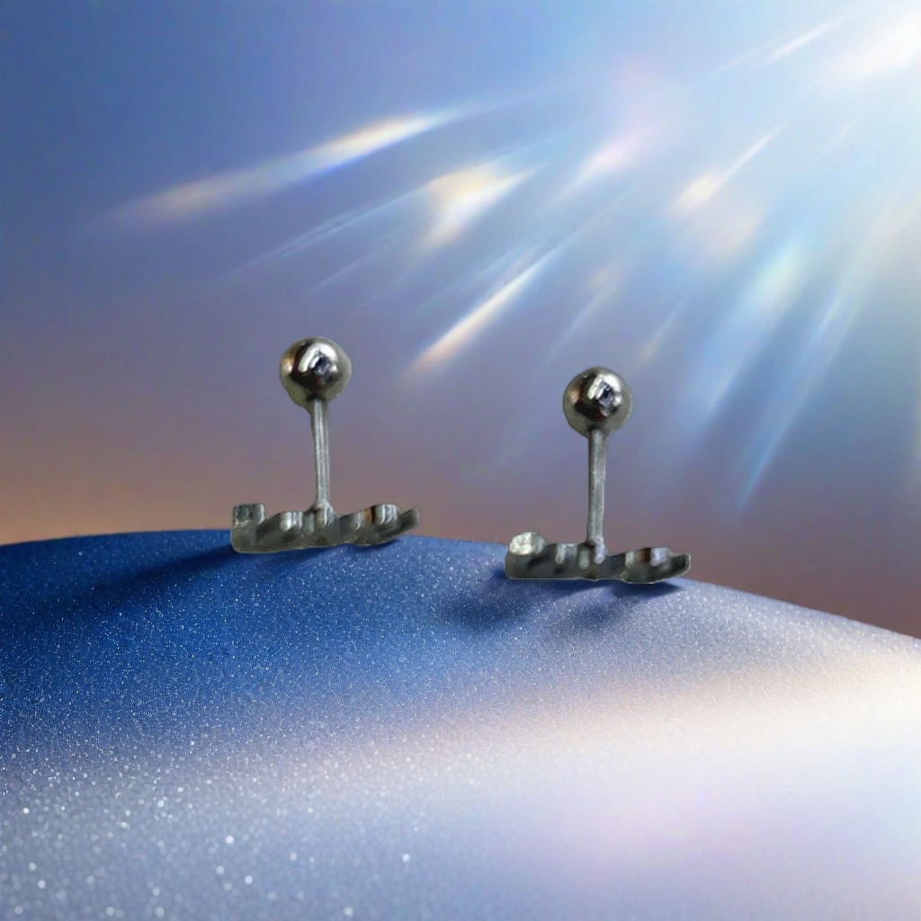 A pair of simple and fashionable earstud metal earrings for women, light luxury and versatile Application Scenario