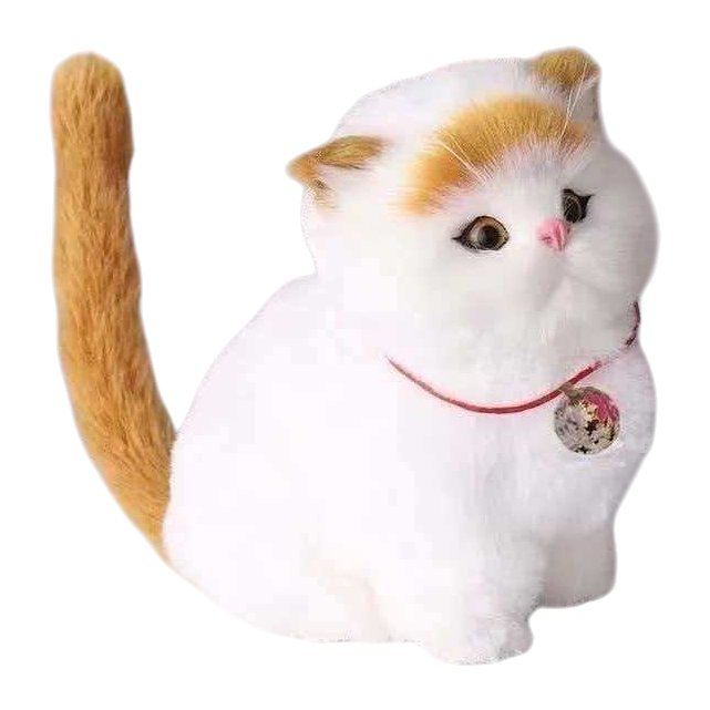 毛绒玩具+猫白底实物图