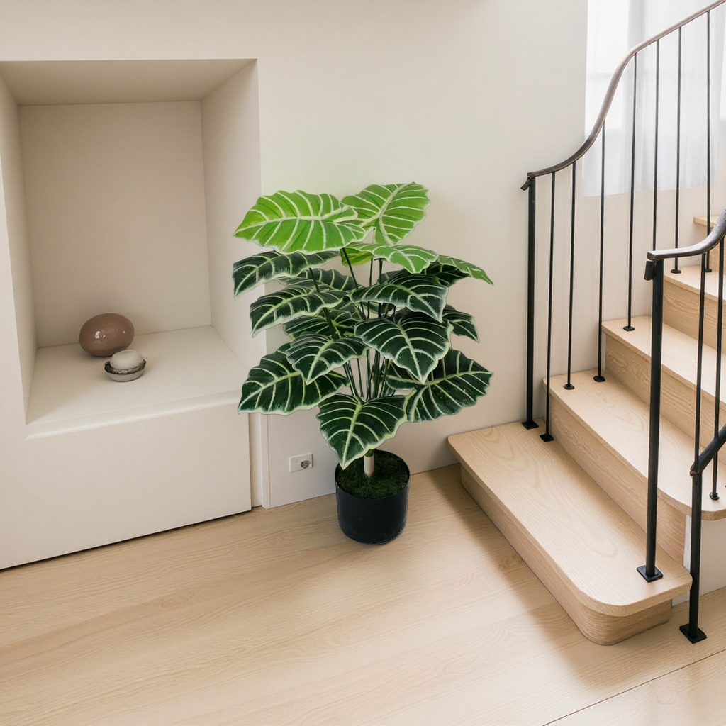 Green plant potted plants for indoor air purification, small potted plants and succulent combinations details Picture