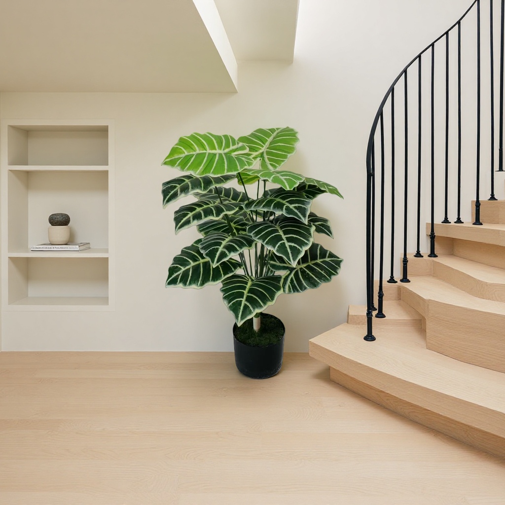 Green plant potted plants for indoor air purification, small potted plants and succulent combinations Application Scenario