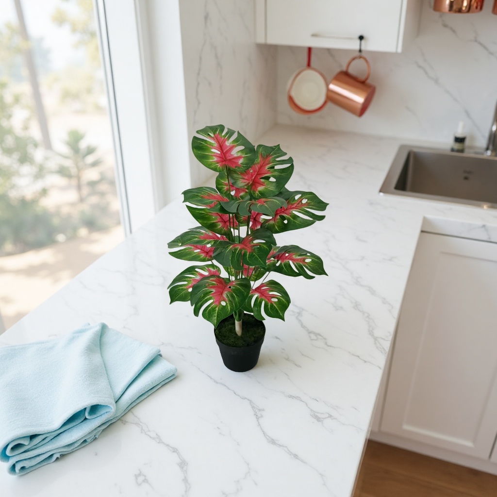 Green and red leaf potted plants, indoor foliage green plants that are easy to grow and shade-tolerant small potted plants Application Scenario
