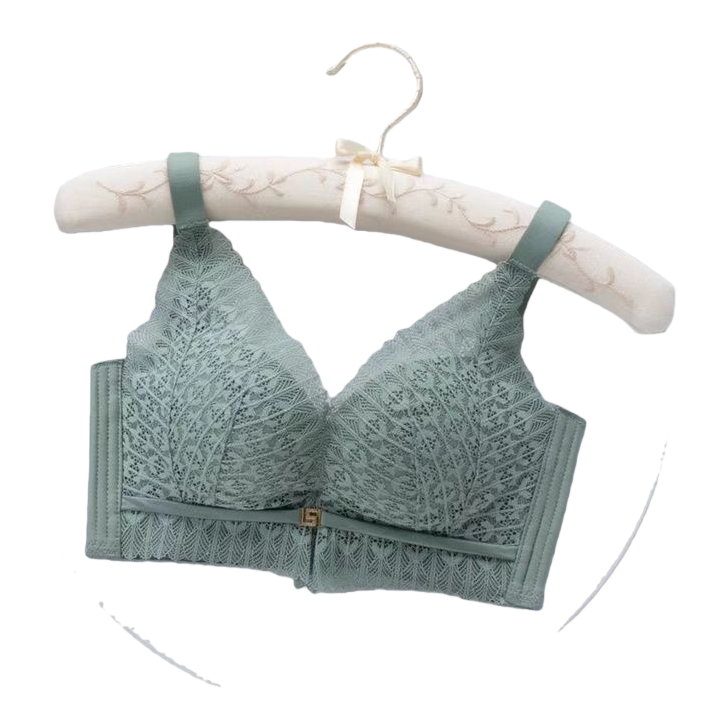 Sujetador de encaje verde claro mujer sin argolas con cierre de ajuste ropa interior Item Picture