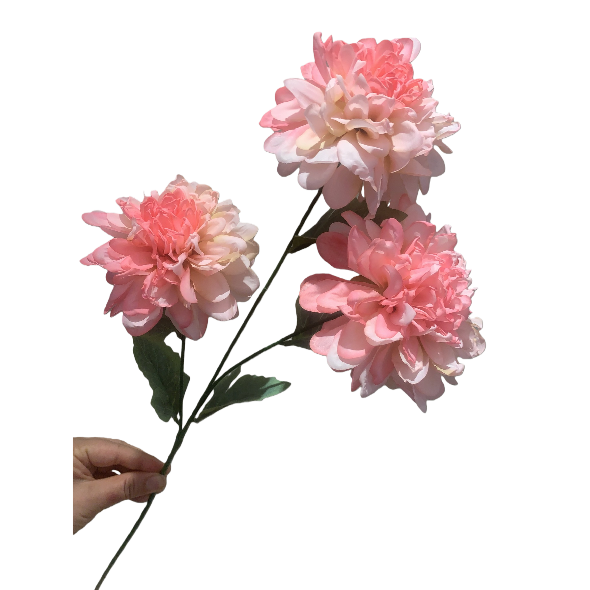 Pink flower bouquets, fresh flowers, hand-held bouquets, romantic wedding birthday gifts Item Picture