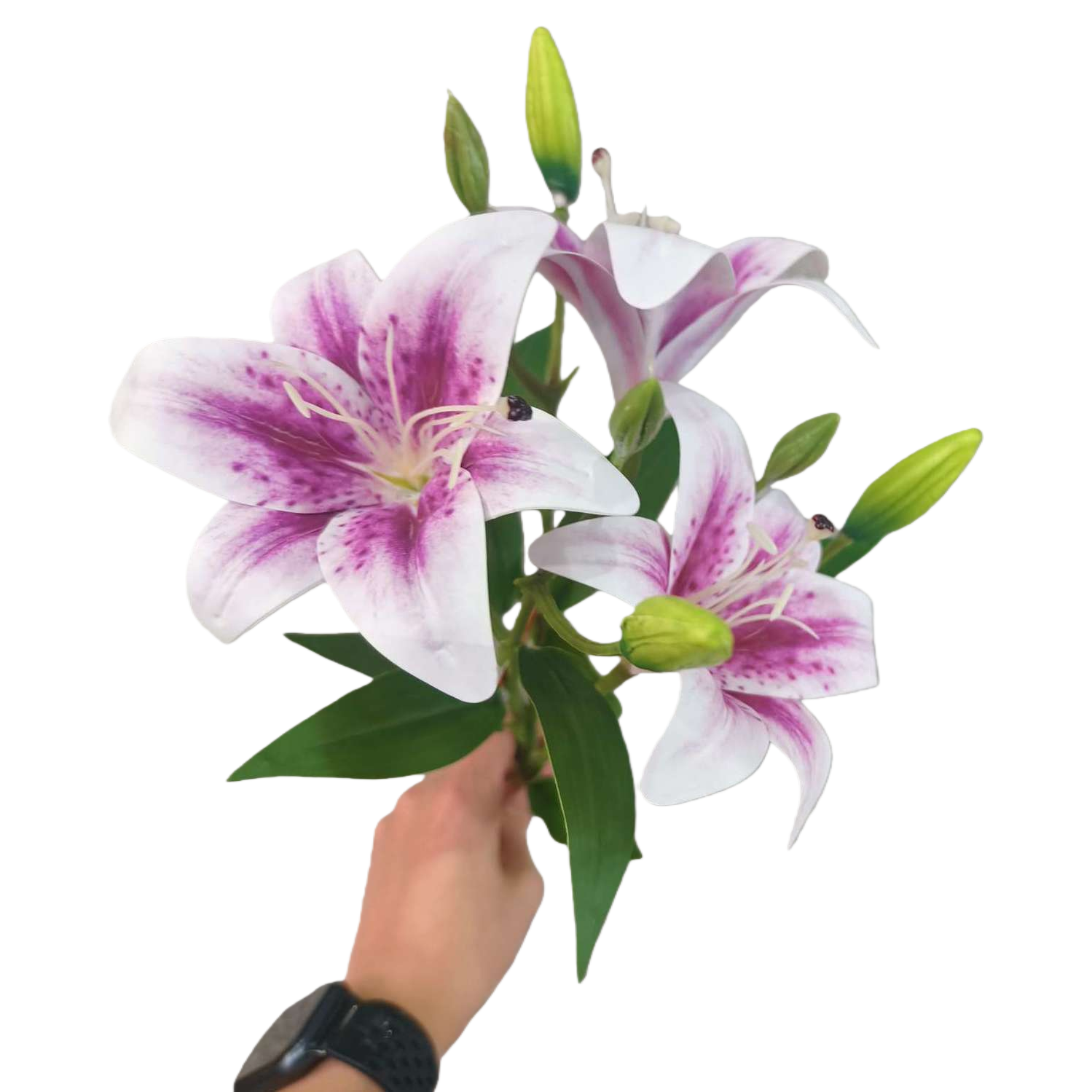精美花朵花束鲜花配送生日礼物情人节康乃馨玫瑰白底实物图