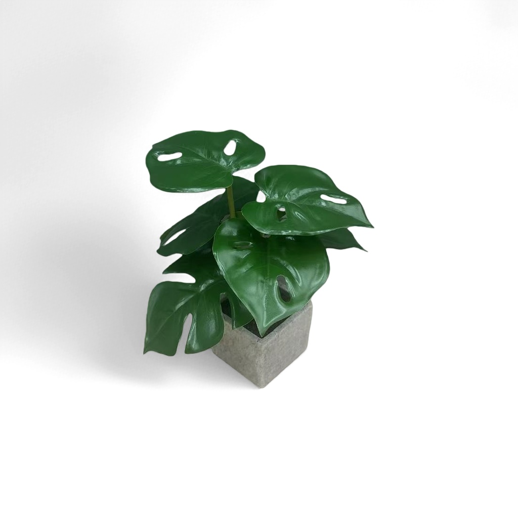 绿植盆栽植物室内观叶植物易养耐阴客厅阳台装饰