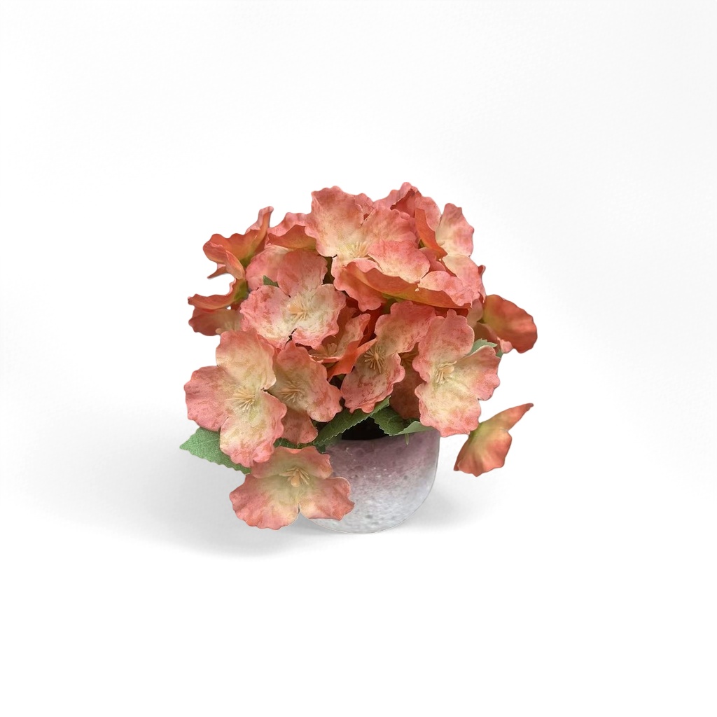 粉色花朵盆栽 室内装饰绿植花卉摆件阳台花园小盆景