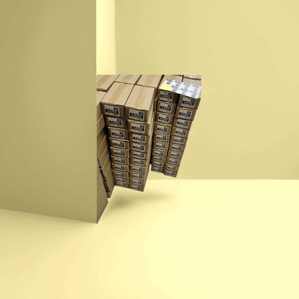 LAN2 Nail file special carton packaging box Application Scenario