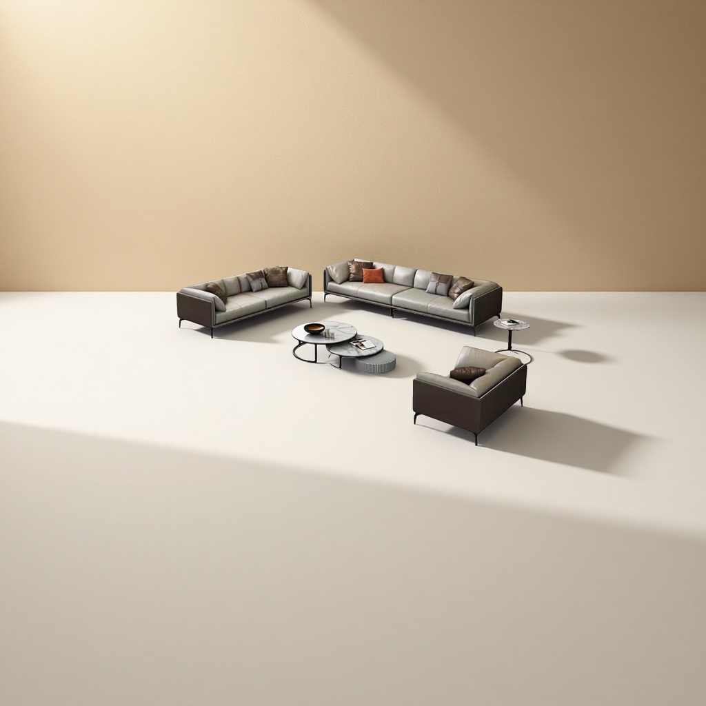 Modern minimalist style living room furniture set: sofa, coffee table, carpet, single chair Application Scenario