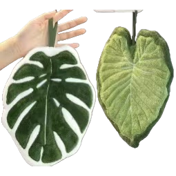 A fish-back bamboo leaf-shaped green plant leaf throw pillow Item Picture