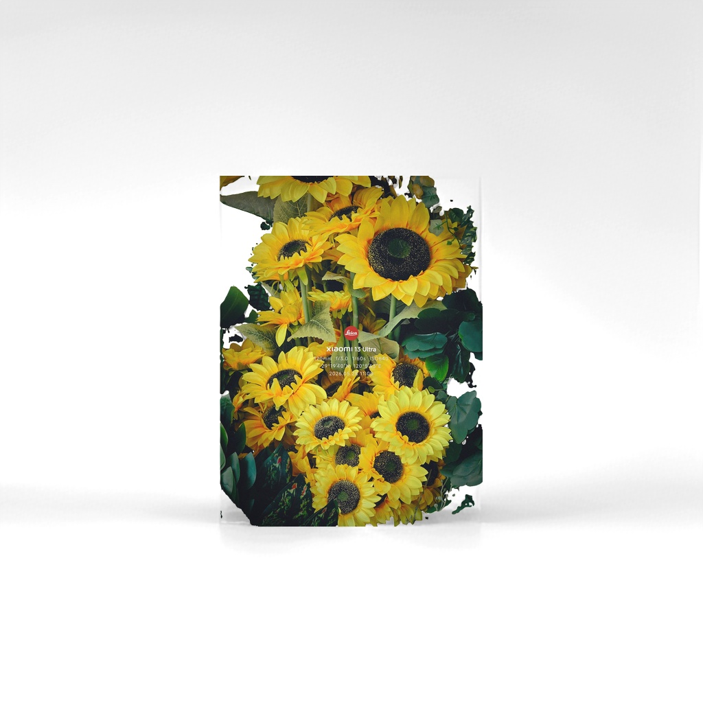 Flores de girasol decoración decoración salón dormitorio escritorio simulación floral flores secas Application Scenario