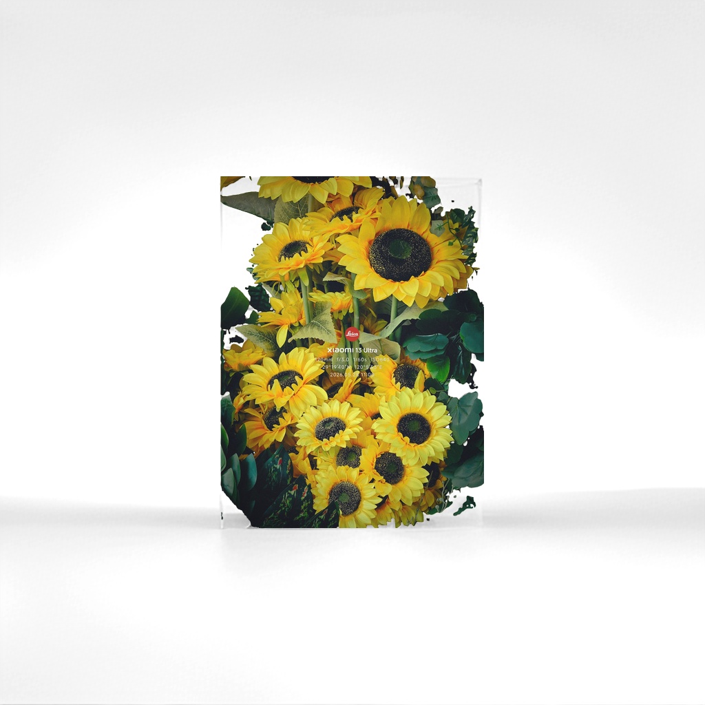Flores de girasol decoración decoración salón dormitorio escritorio simulación floral flores secas Specification image