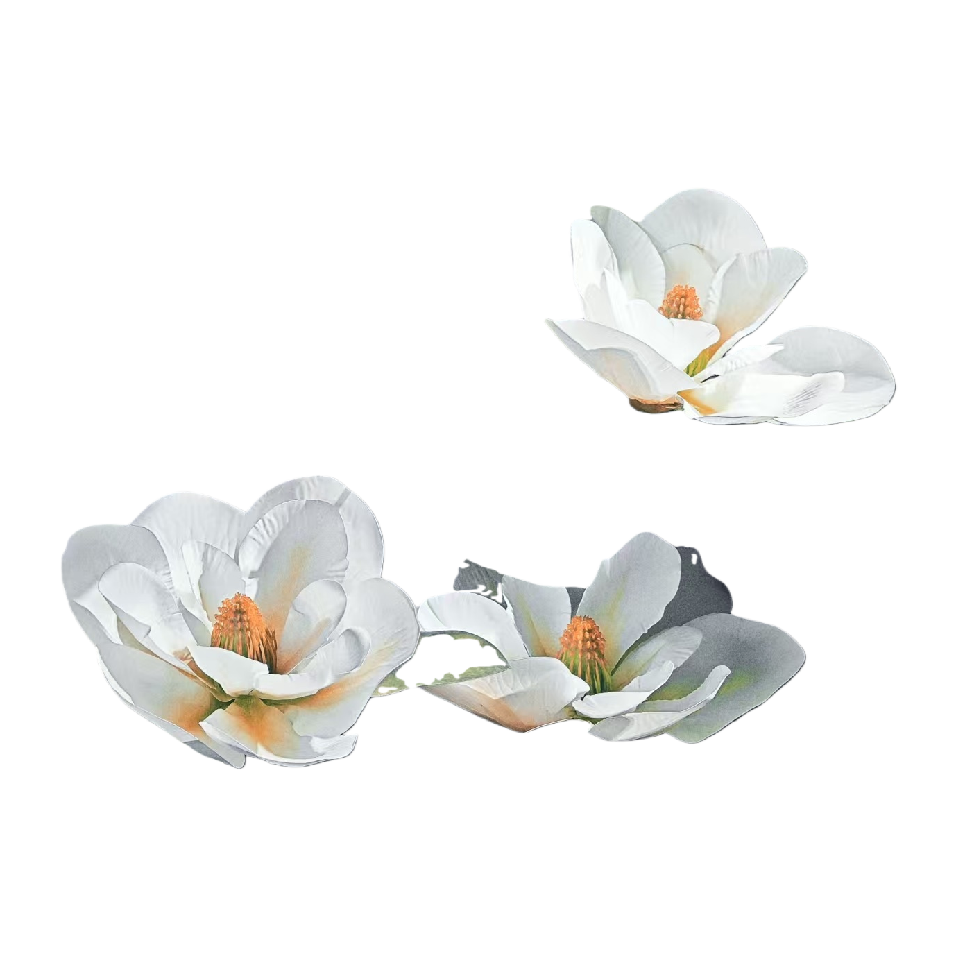 Magnolia Fragrance White Flower Body Wash is refreshing, soothing, moisturizing and leaves a lingering fragrance Item Picture