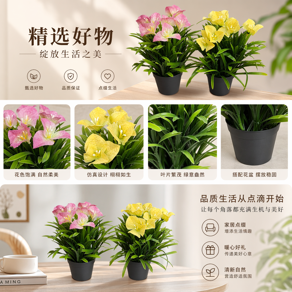薄荷盆栽植物花卉绿植种子伴手礼盲盒装清新办公家居详情1
