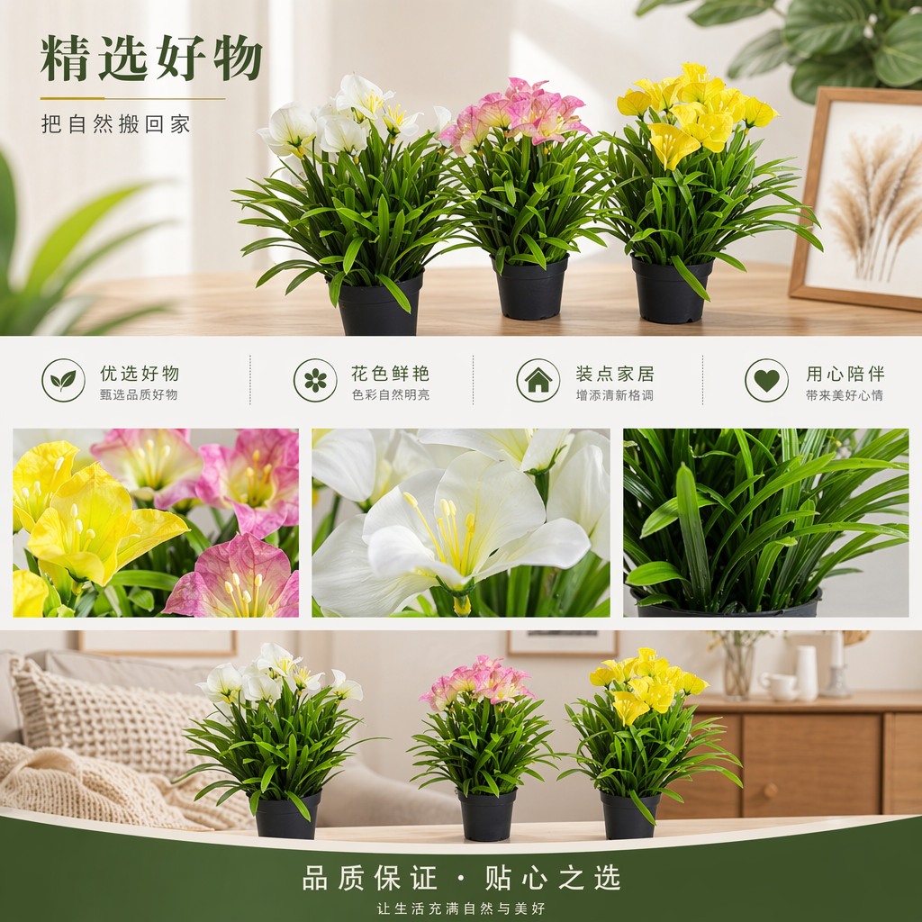 薄荷盆栽植物花卉绿植种子盆栽伴手礼植物详情1